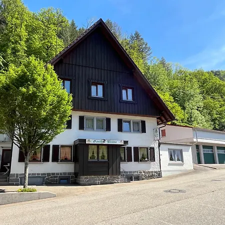 Ferienwohnung-Blume Dg Wolfach Exterior photo