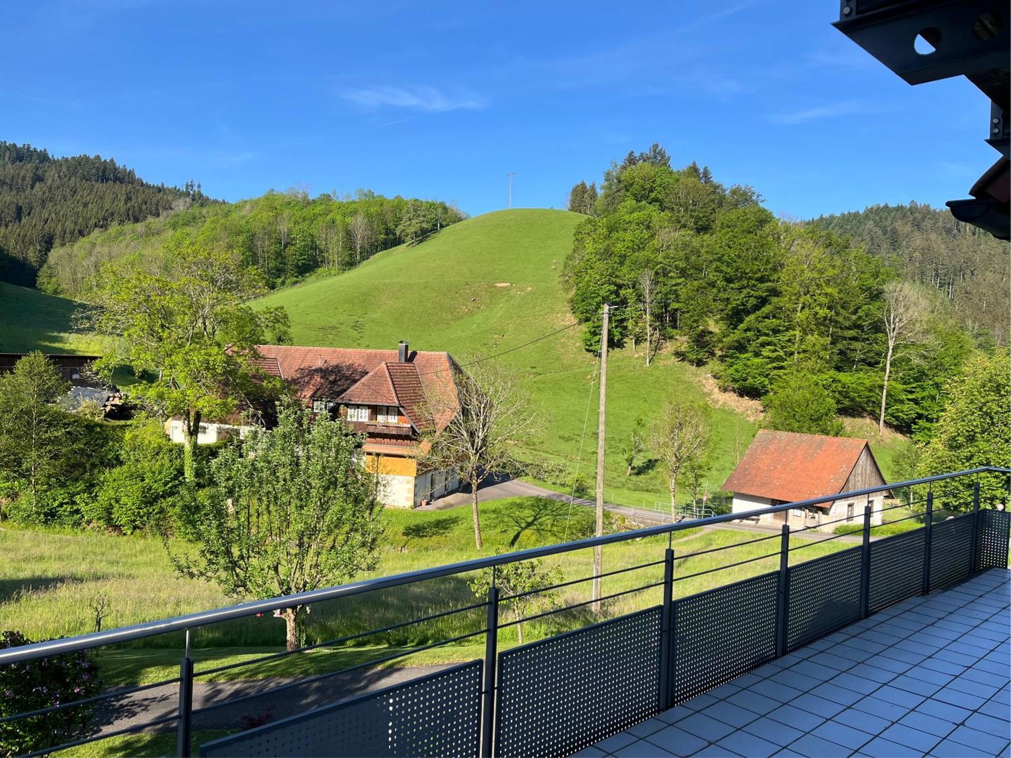 Ferienwohnung-blume Dg * Wolfach