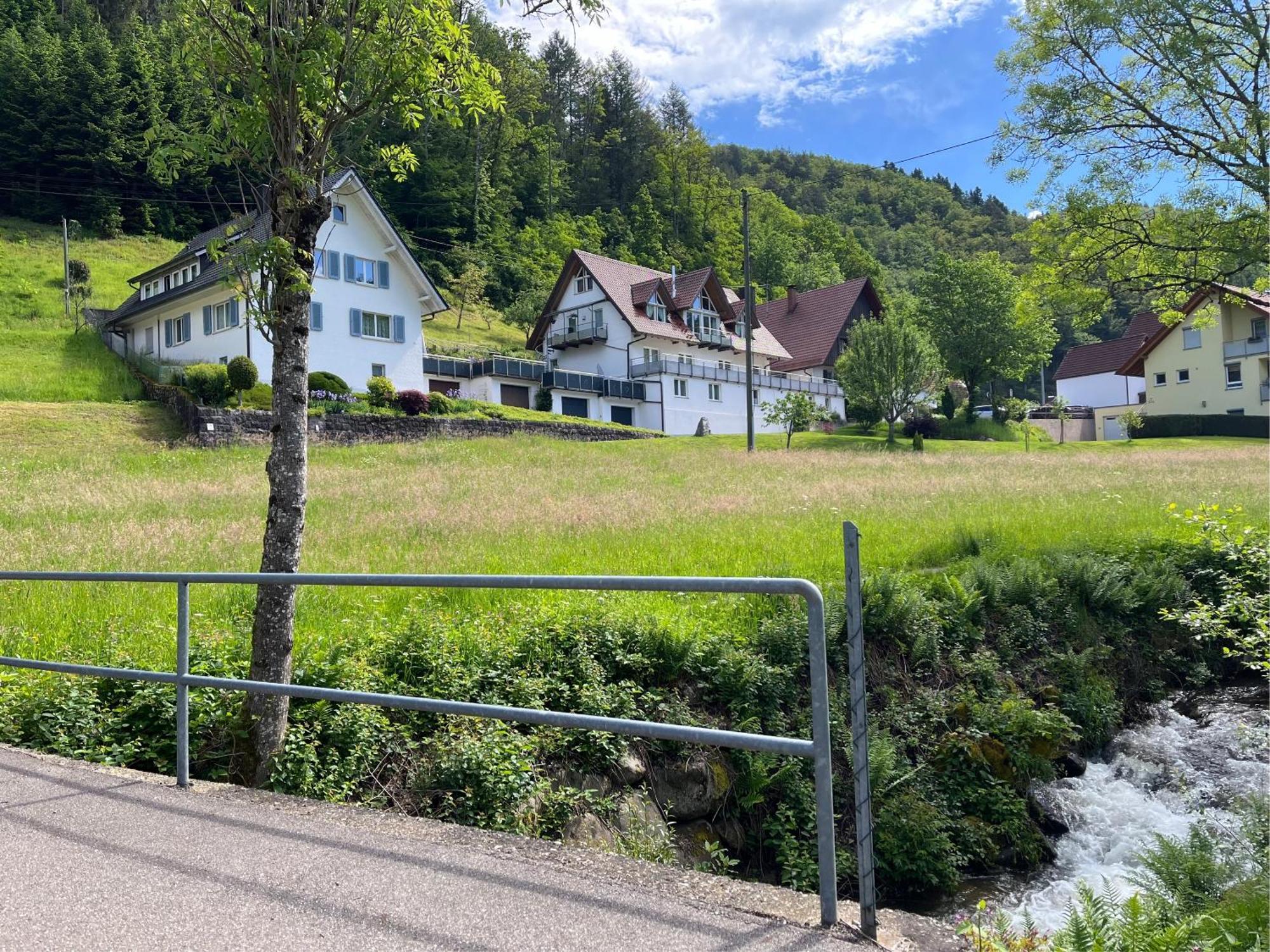 Apartament Ferienwohnung-blume Dg Wolfach